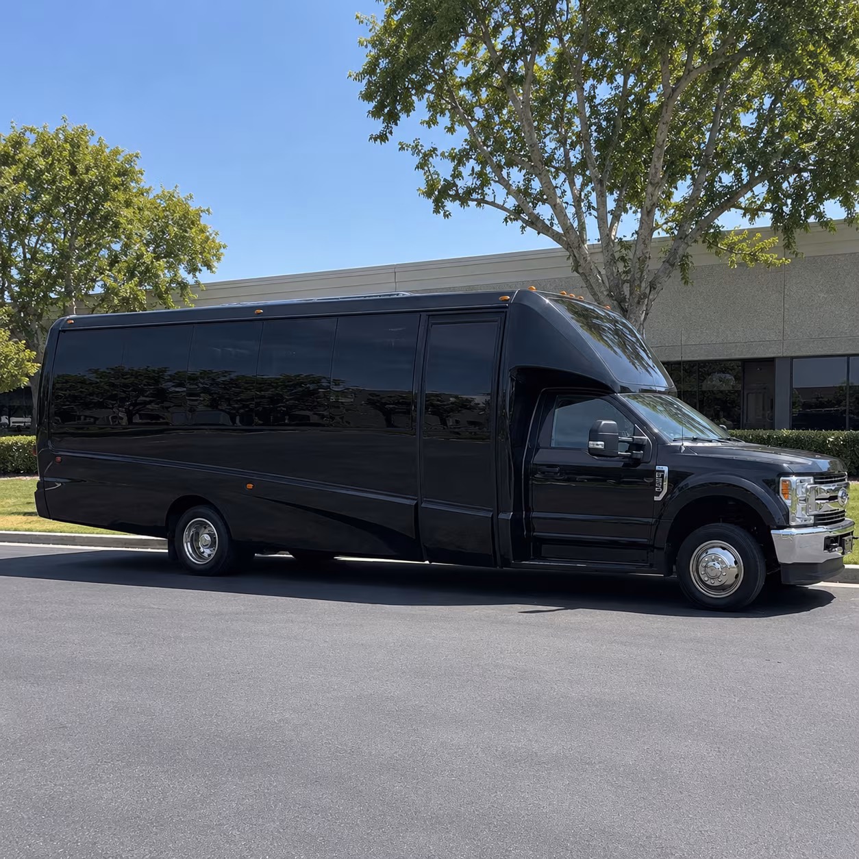 buses for day trips to carlsbad caverns and guadalupe mountains